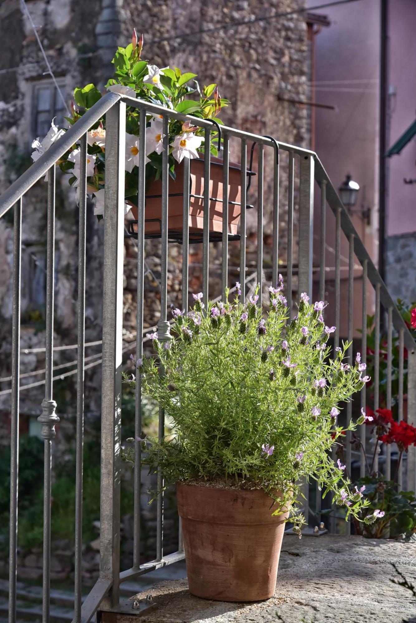 ביאסה Casa Vacanze Tra I Monti E San Martino מראה חיצוני תמונה